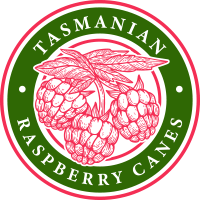 Tasmanian Respberry Canes