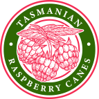 Tasmanian Raspberry Canes